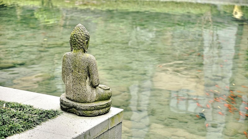 Meditation